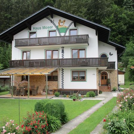 Haus Moser Wörschach Εξωτερικό φωτογραφία
